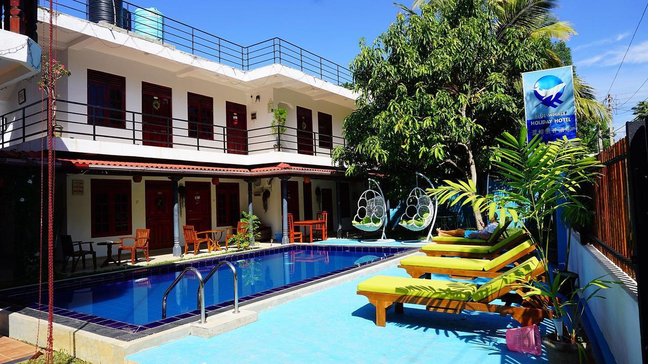 Blue Whale Holiday Hotel Mirissa Exterior foto