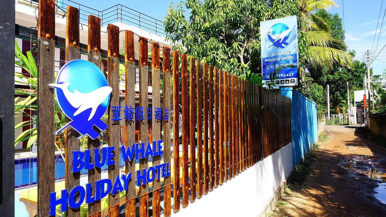 Blue Whale Holiday Hotel Mirissa Exterior foto