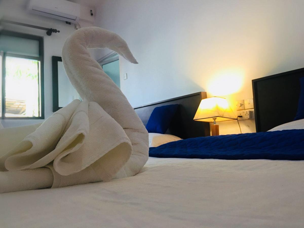 Blue Whale Holiday Hotel Mirissa Habitación foto