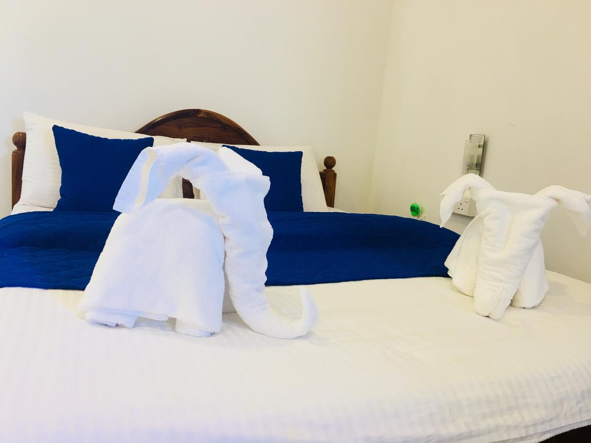 Blue Whale Holiday Hotel Mirissa Exterior foto